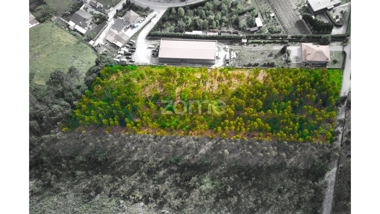 Terreno para Venda em Monte Córdova Foto 11