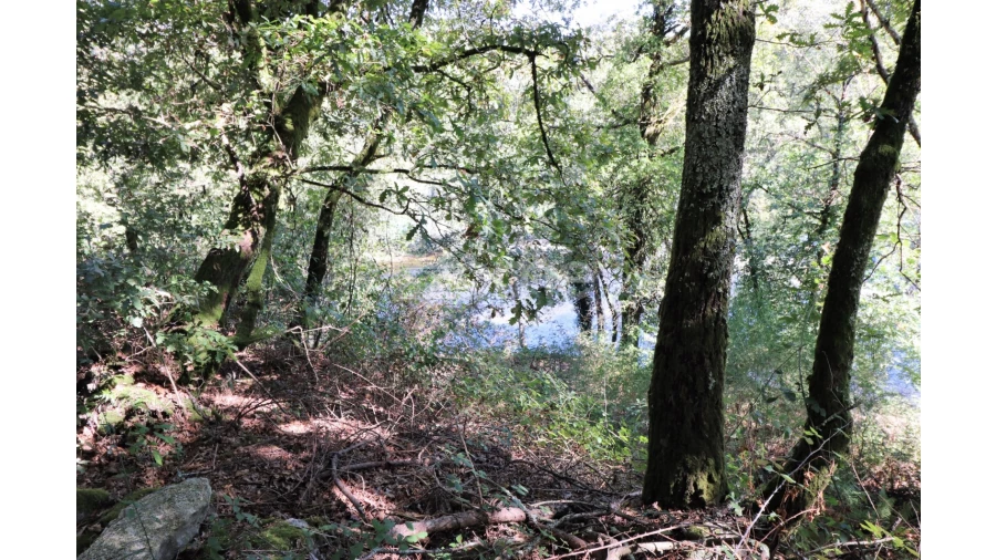 Quinta T3 para Venda em Oleiros Foto 29