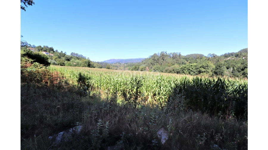 Quinta T3 para Venda em Oleiros Foto 12