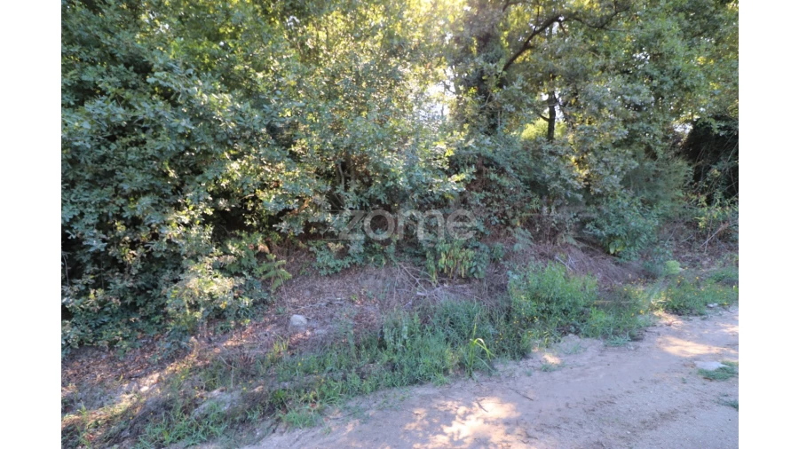 Quinta T3 para Venda em Oleiros Foto 17