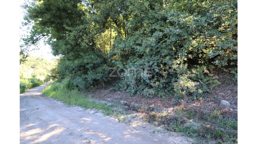 Quinta T3 para Venda em Oleiros Foto 18