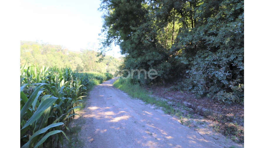 Quinta T3 para Venda em Oleiros Foto 19