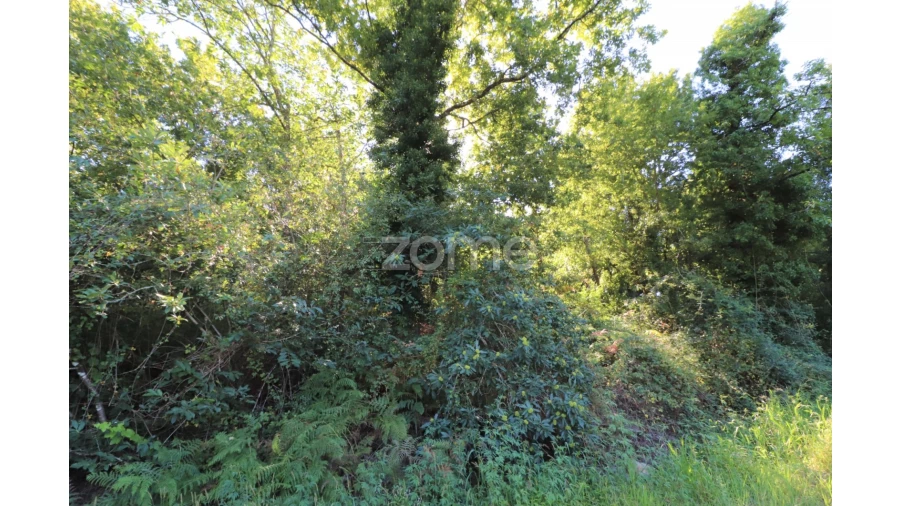 Quinta T3 para Venda em Oleiros Foto 21