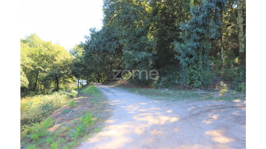 Quinta T3 para Venda em Oleiros Foto 22