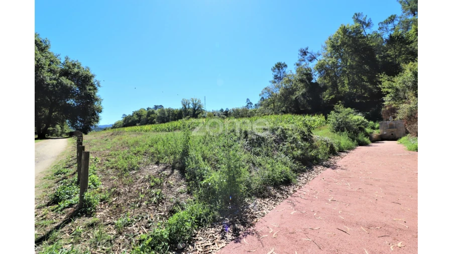 Quinta T3 para Venda em Oleiros Foto 25
