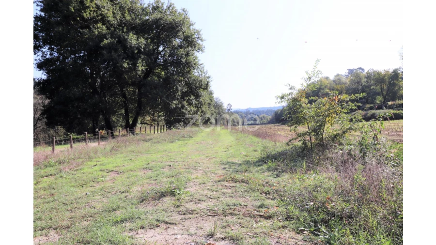 Quinta T3 para Venda em Oleiros Foto 33