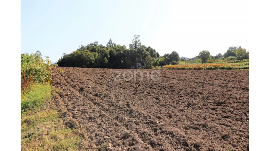 Quinta T3 para Venda em Oleiros Foto 9