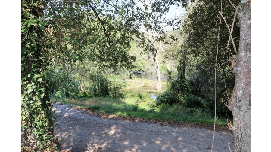 Quinta T3 para Venda em Oleiros Foto 39