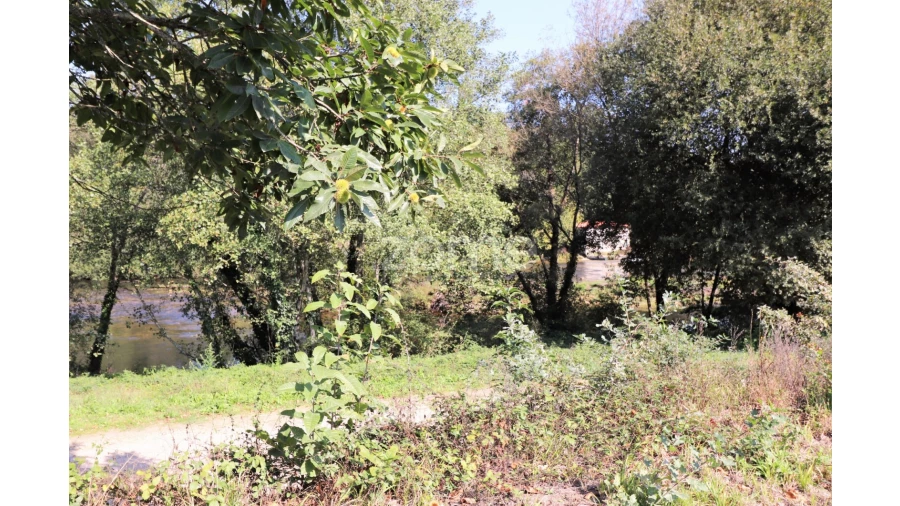 Quinta T3 para Venda em Oleiros Foto 40