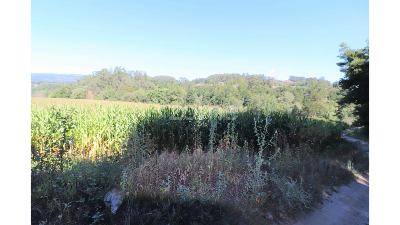 Quinta T3 para Venda em Oleiros Foto 16