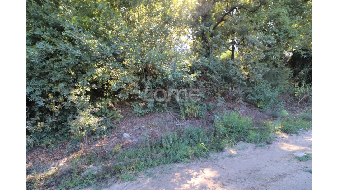 Quinta T3 para Venda em Oleiros Foto 17