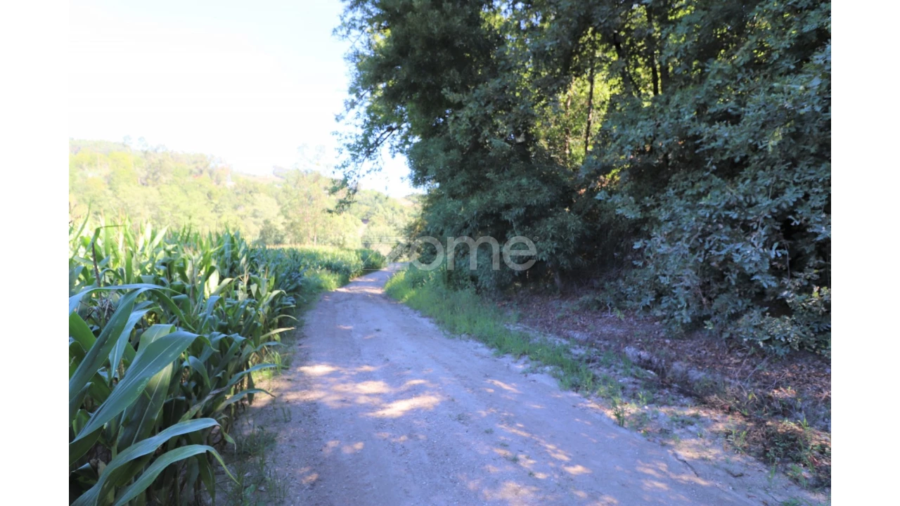 Quinta T3 para Venda em Oleiros Foto 19