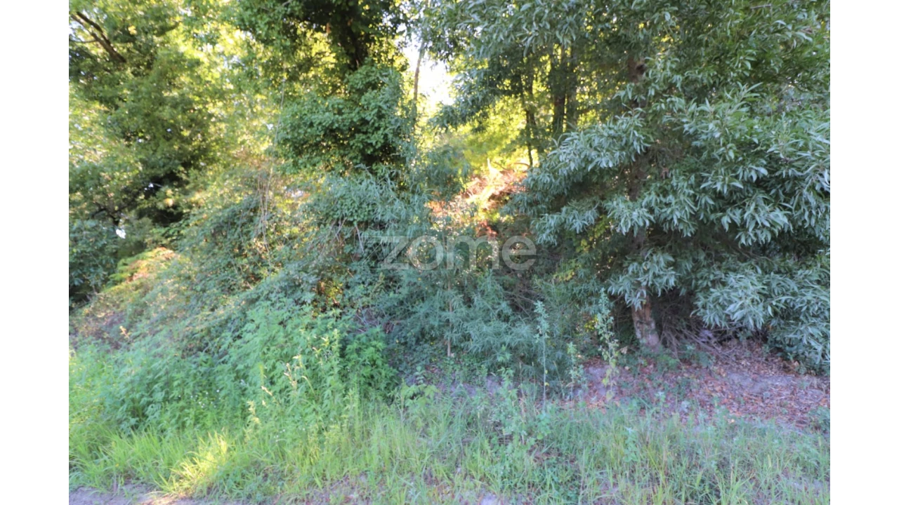 Quinta T3 para Venda em Oleiros Foto 20