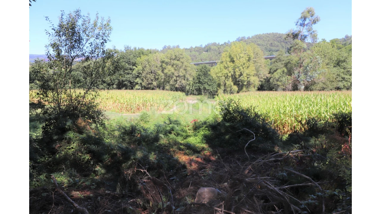 Quinta T3 para Venda em Oleiros Foto 23