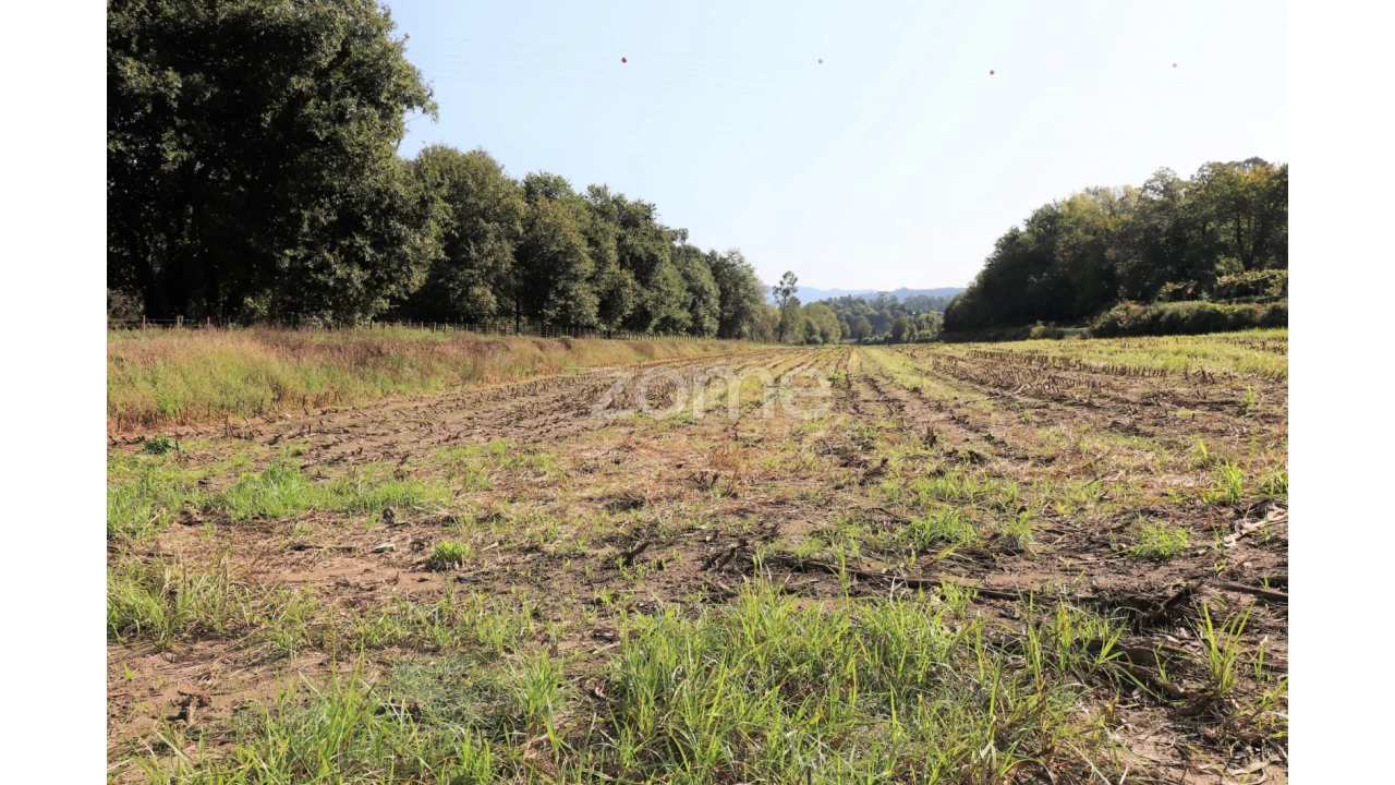 Quinta T3 para Venda em Oleiros Foto 3