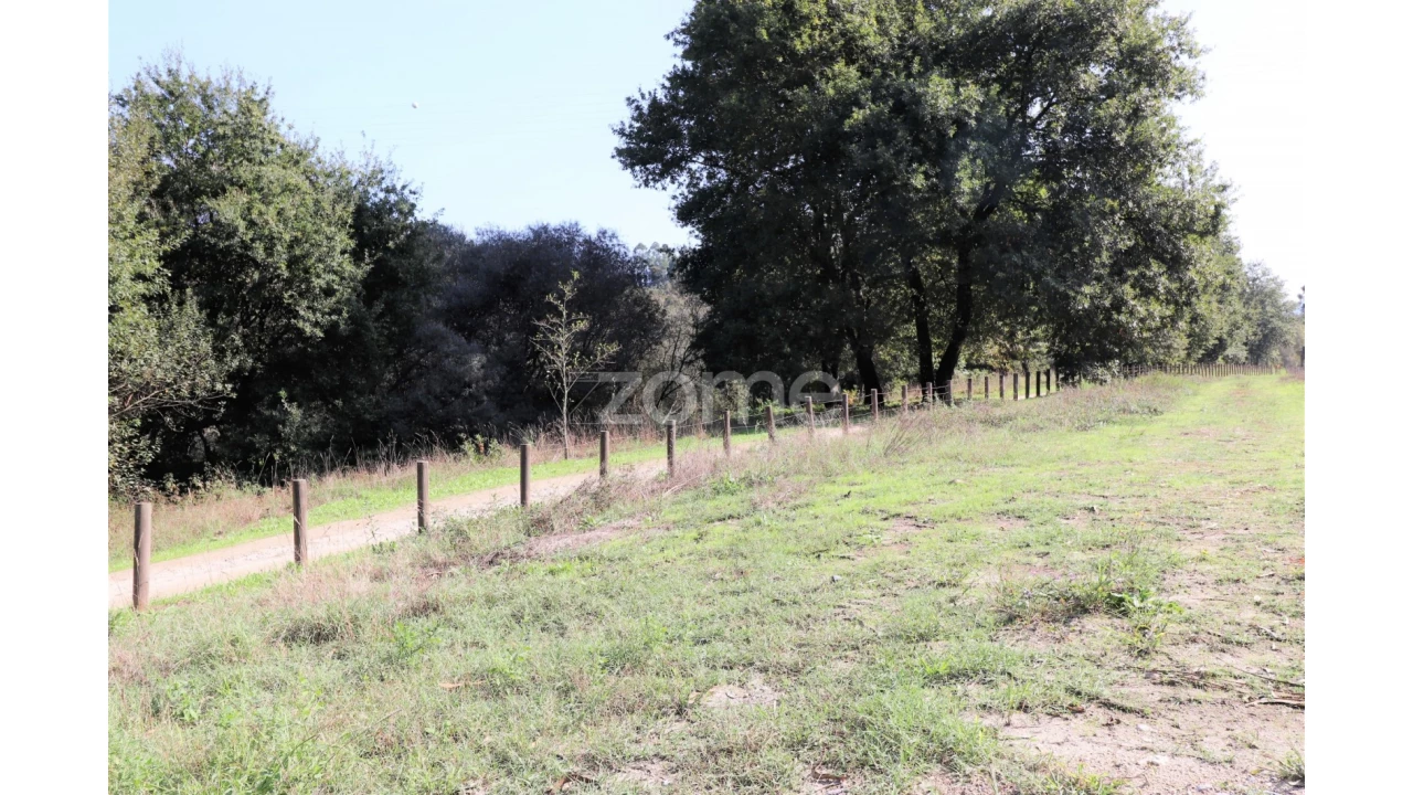 Quinta T3 para Venda em Oleiros Foto 34