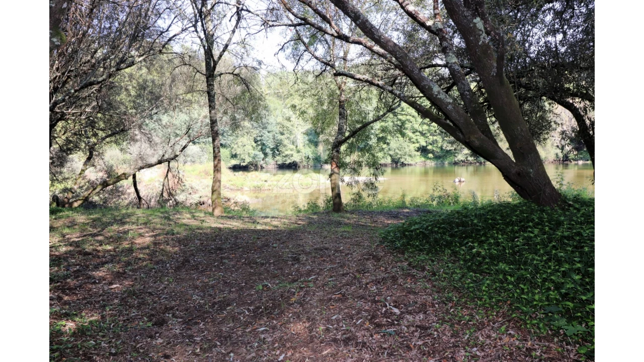 Quinta T3 para Venda em Oleiros Foto 35