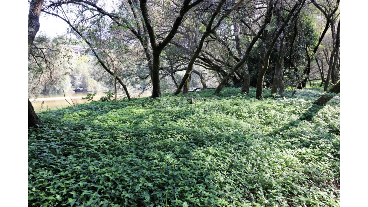 Quinta T3 para Venda em Oleiros Foto 36