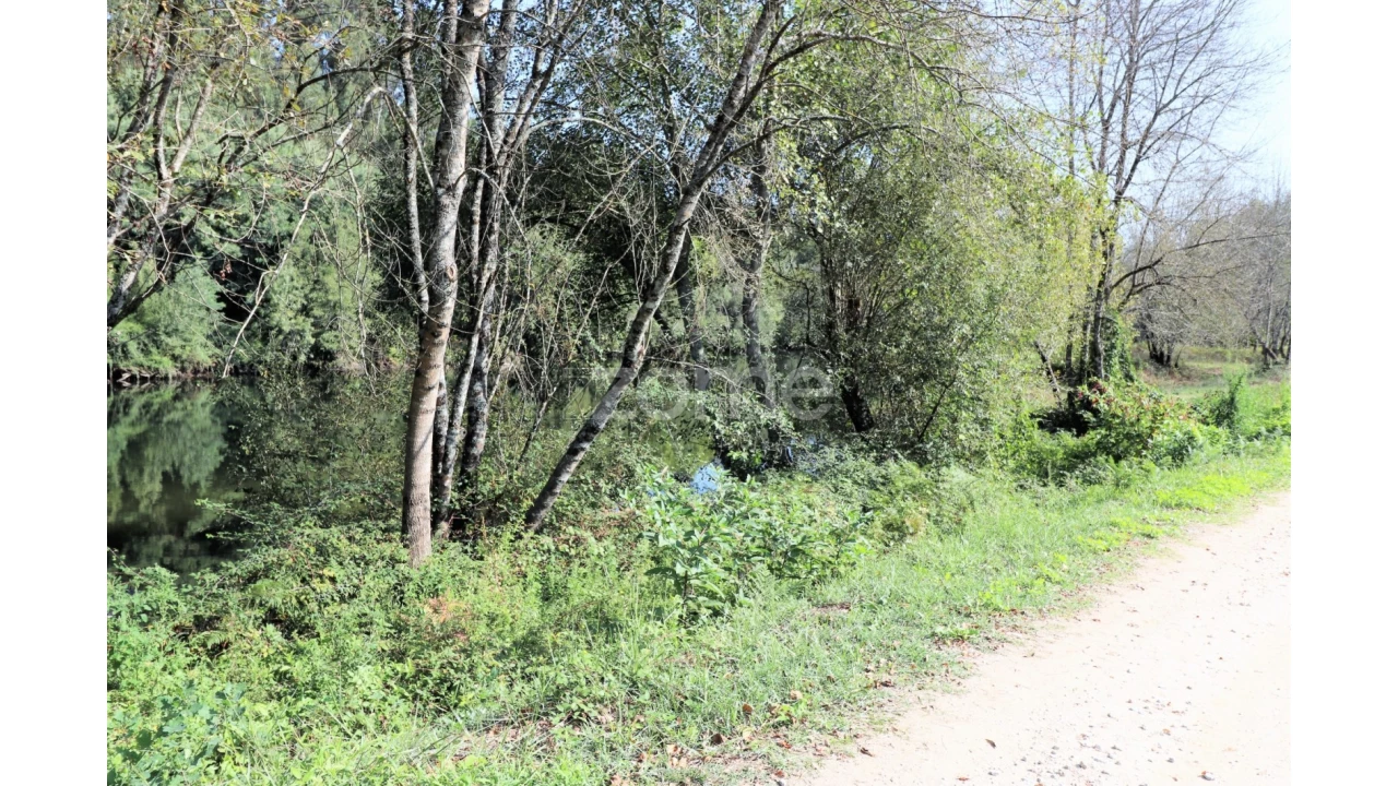 Quinta T3 para Venda em Oleiros Foto 38