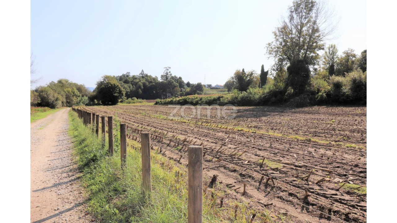 Quinta T3 para Venda em Oleiros Foto 14