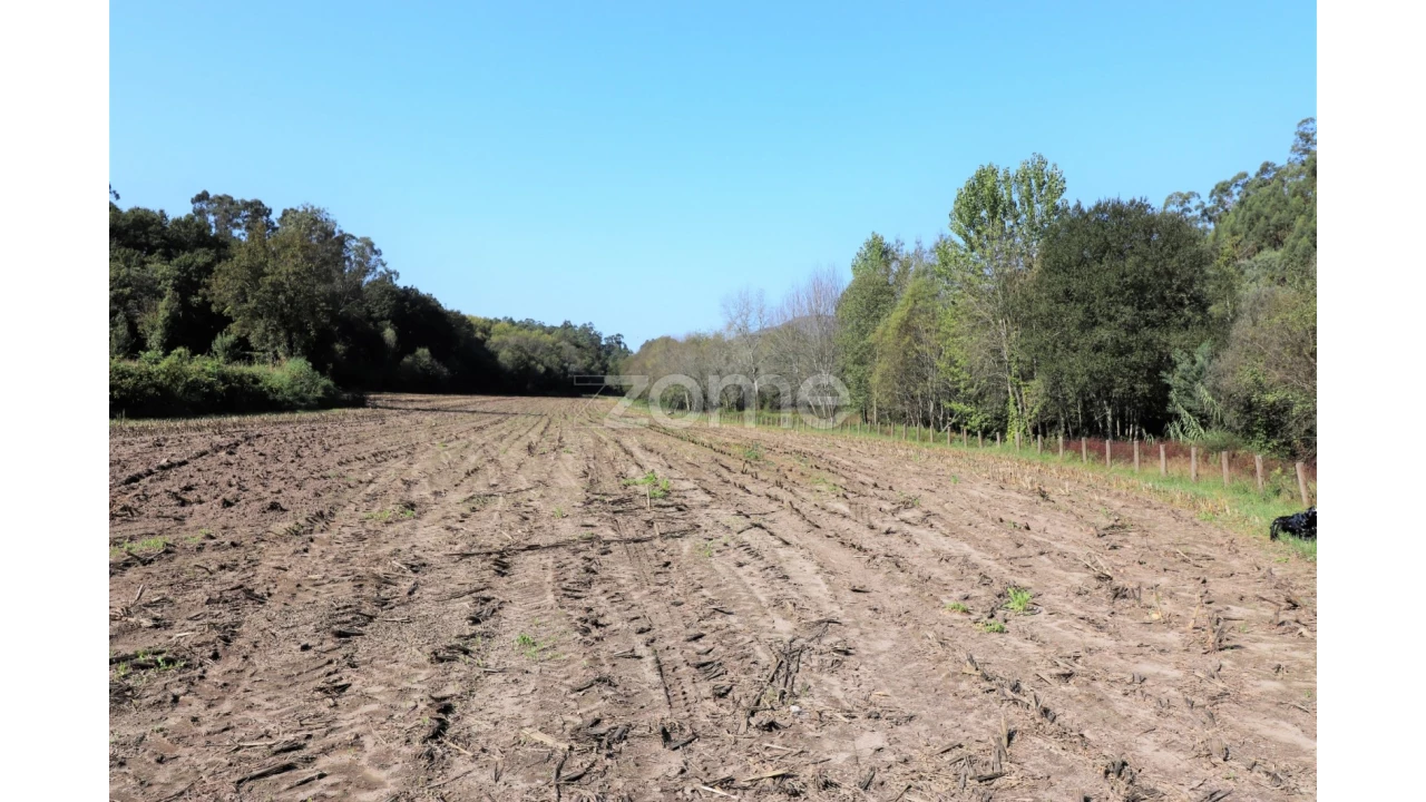 Quinta T3 para Venda em Oleiros Foto 10