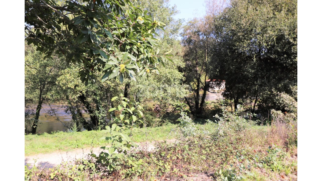 Quinta T3 para Venda em Oleiros Foto 40