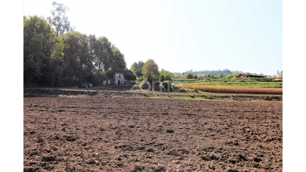 Quinta T3 para Venda em Oleiros Foto 2