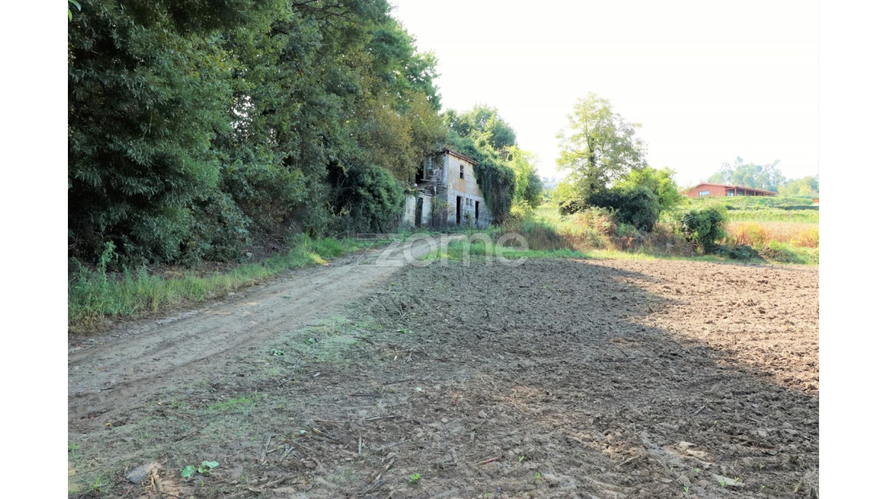 Quinta T3 para Venda em Oleiros Foto 6