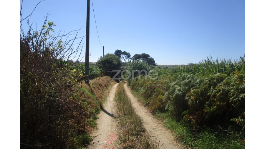 Terreno para Venda em Vila Chã Foto 11