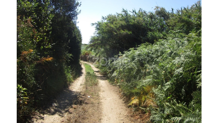 Terreno para Venda em Vila Chã Foto 12
