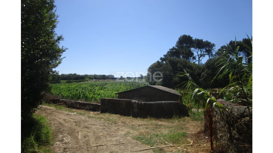 Terreno para Venda em Vila Chã Foto 13
