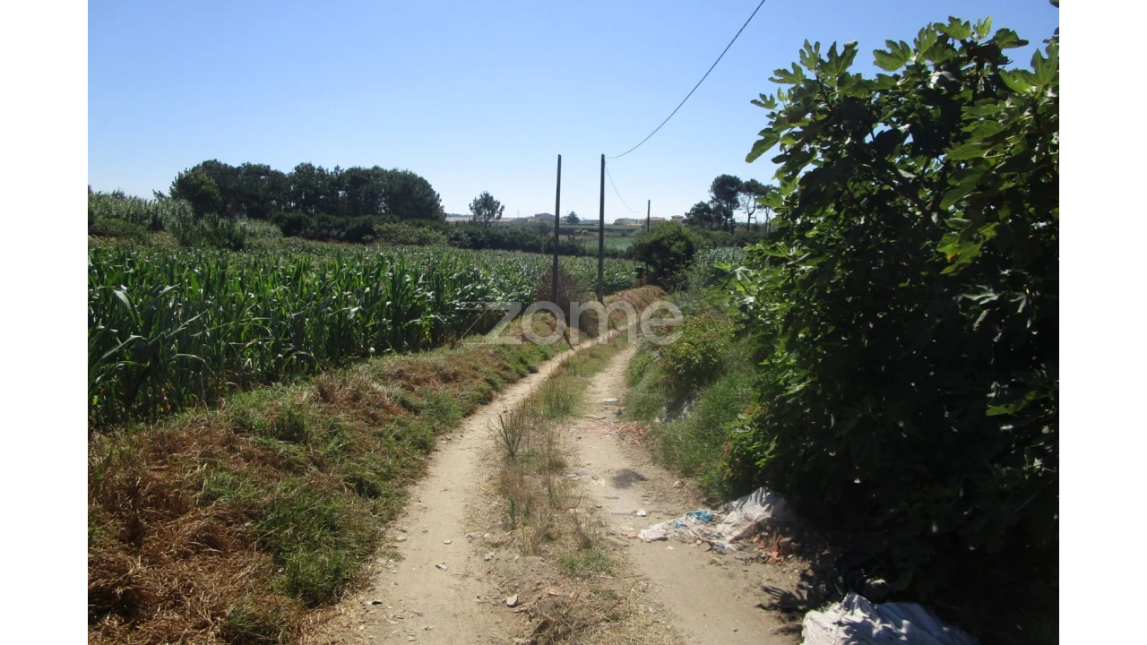 Terreno para Venda em Vila Chã Foto 10