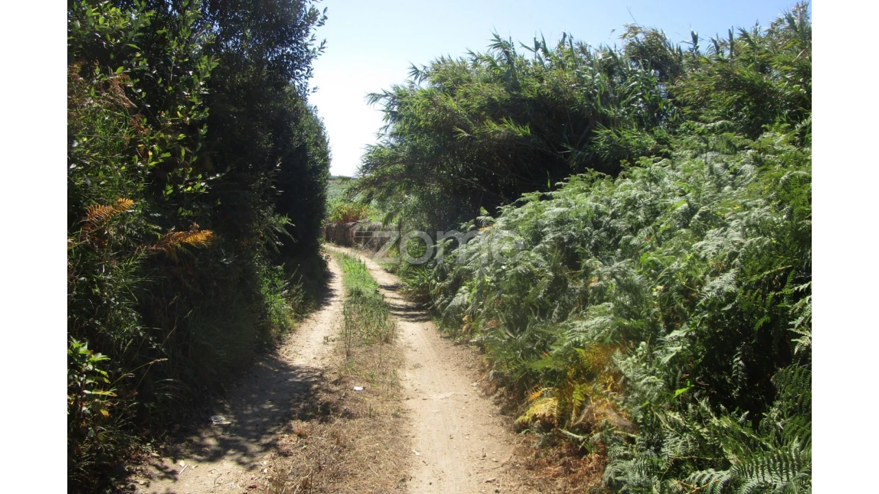 Terreno para Venda em Vila Chã Foto 12
