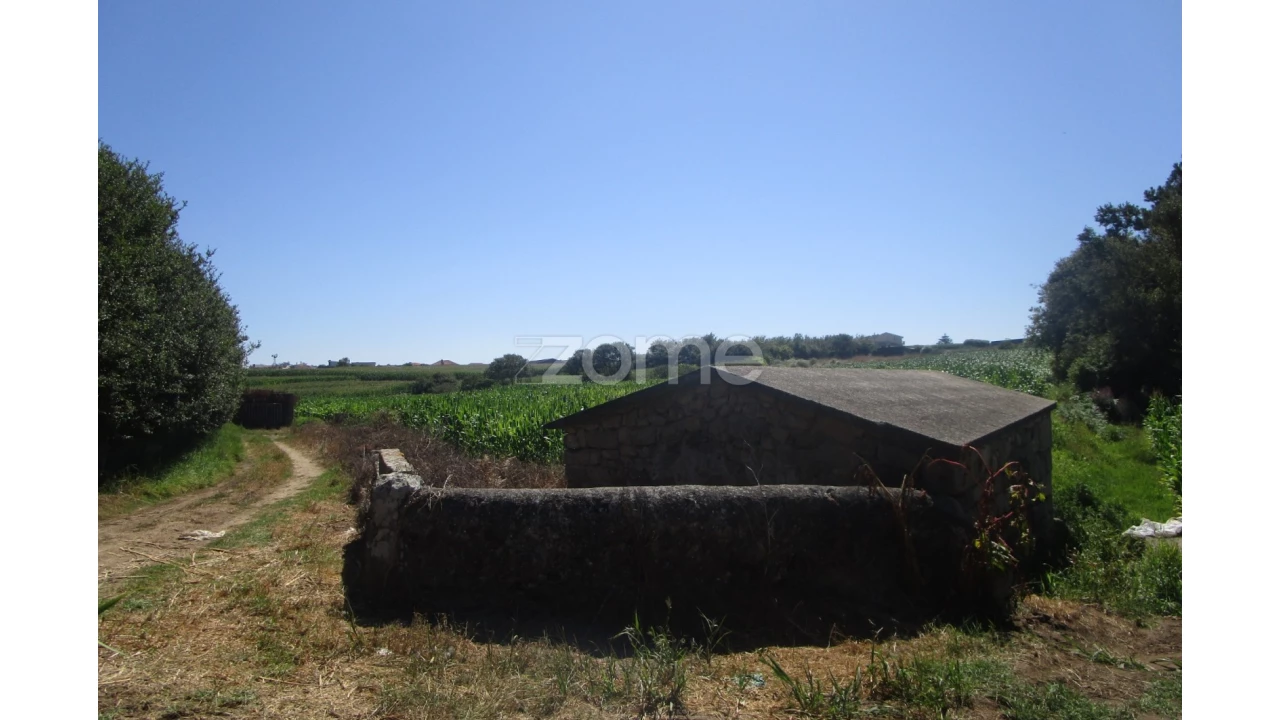 Terreno para Venda em Vila Chã Foto 14