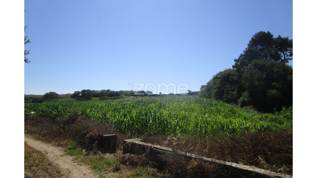 Terreno para Venda em Vila Chã Foto 15