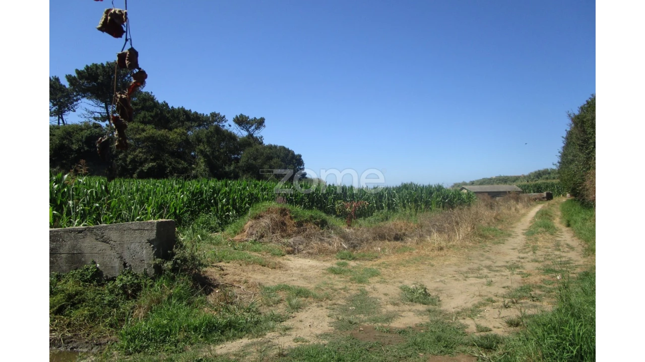 Terreno para Venda em Vila Chã Foto 17