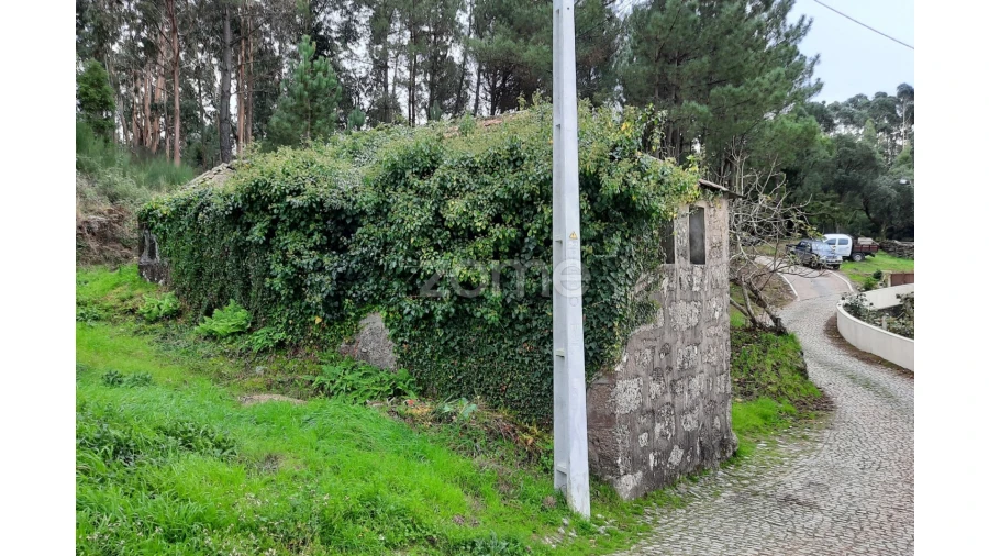 Moradia T2 para Venda em Lagares e Figueira Foto 21