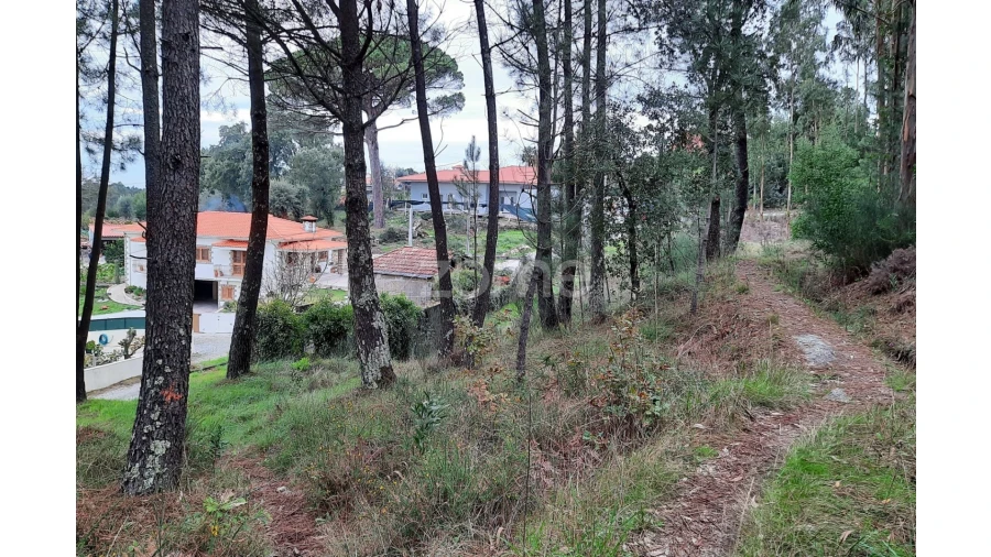 Moradia T2 para Venda em Lagares e Figueira Foto 25