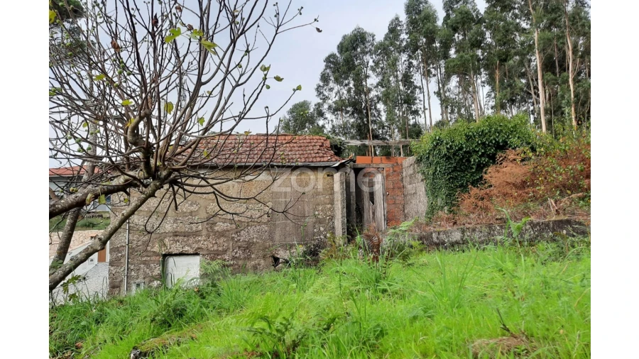 Moradia T2 para Venda em Lagares e Figueira Foto 4