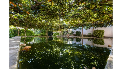 Quinta T5 para Venda em Barroselas e Carvoeiro