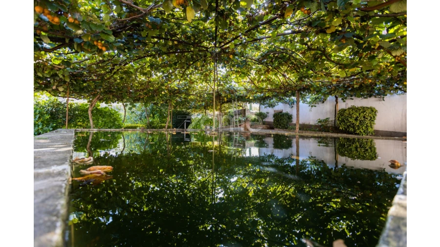 Quinta T5 para Venda em Barroselas e Carvoeiro Foto 20