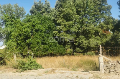 Terreno para Venda em Canelas