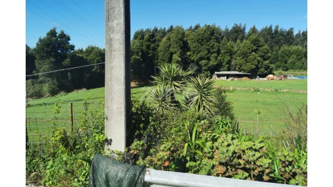 Terreno para Venda em Canelas