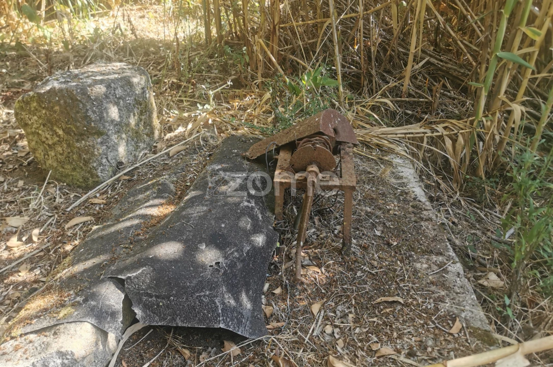Terreno para Venda em Canelas Foto 16