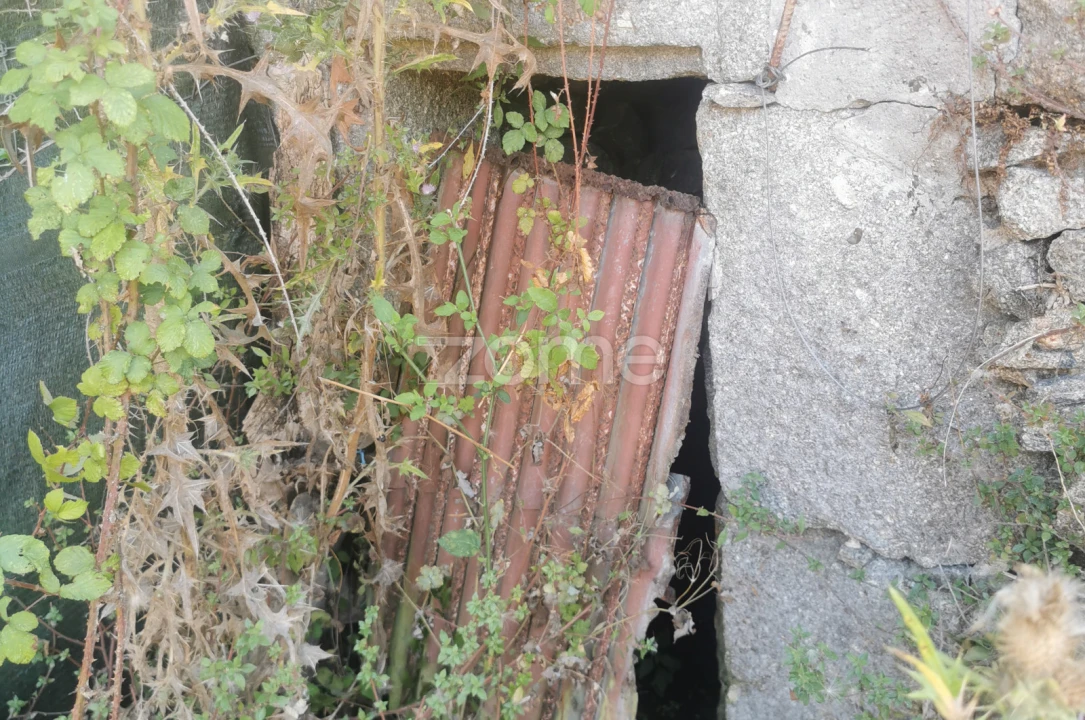 Terreno para Venda em Canelas Foto 17