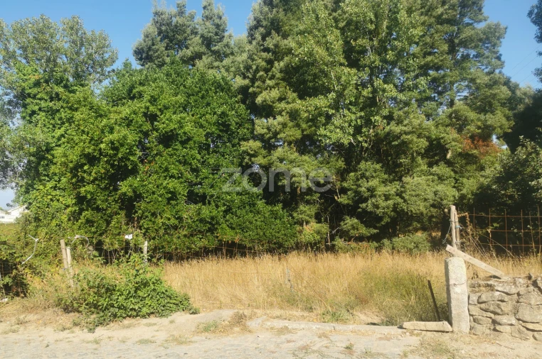 Terreno para Venda em Canelas Foto 10