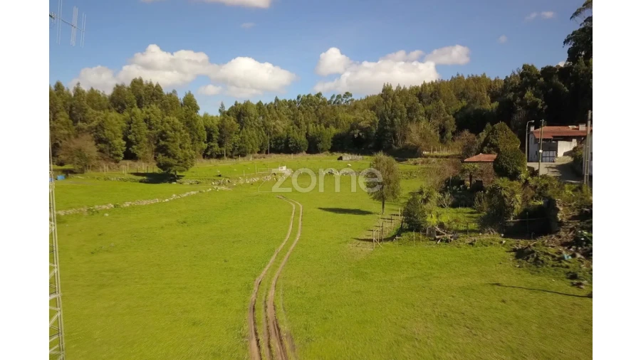 Terreno para Venda em Canelas Foto 3