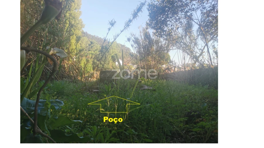 Terreno para Venda em Canelas Foto 14