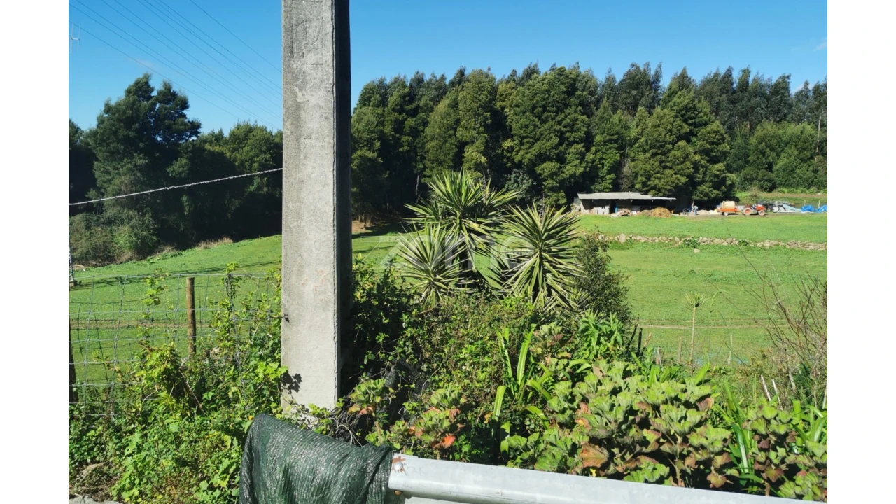 Terreno para Venda em Canelas Foto 11