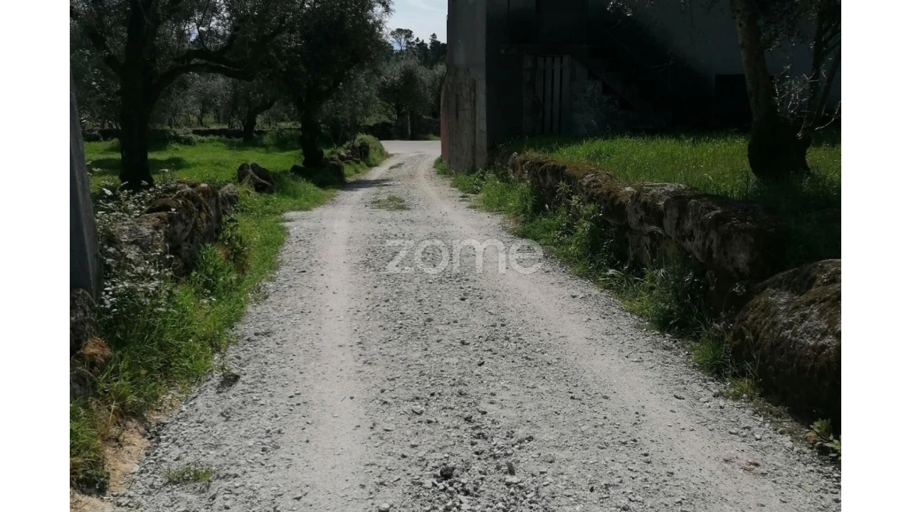 Terreno para Venda em Alvarelhos e Guidões Foto 14